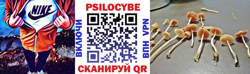 МЕГА вход  где можно купить   Красный Холм  Псилоцибиновые грибы Cubensis 